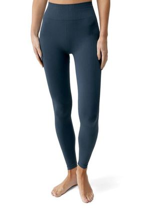 Born Living Yoga Nawal Seamless High Rise Sport Legging in Stormy Grey at Nordstrom, Size Medium Eu