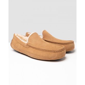 UGG UGG Ascot Mens Slipper - Chestnut Suede - Size UK 10