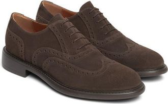 Nero Giardini Wingtip Oxford in Chocolate at Nordstrom, Size 43