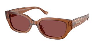 Coach HC8439U CBZ52 581175 Womens Sunglasses Brown Size 53