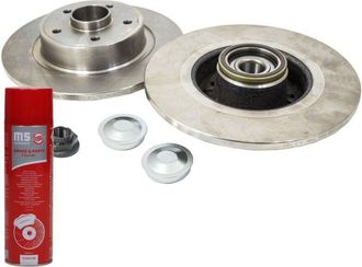 OEM Discos De Freno Con Rodamiento Trasero 2401110101b-pcs-ms 2 Uds