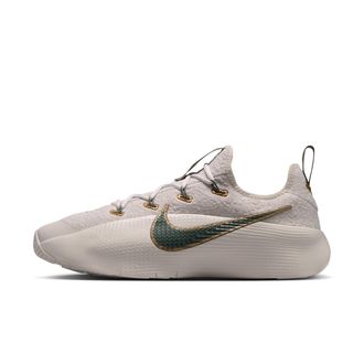 Nike Mens LeBron TR 1 Workout Shoes in Grey | FJ6151-009