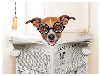 Schubiger M&ouml;bel Digitaldruck auf Acrylglas Hund mit Zeitung