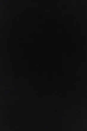 Valentino Garavani Scarf Scarf - Black