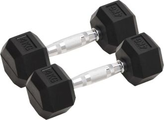 vidaXL Mancuernas 2 Unidades Total Hierro Fundido 8 Kg Vidaxl