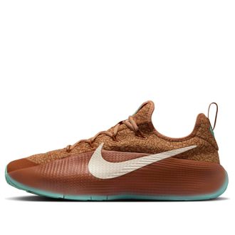 Nike LeBron TR 1 Amber Brown Green Frost FJ6151-200