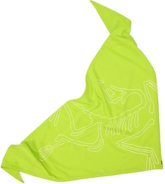 Arc'teryx Sinsolo Bandana in Mantis at Nordstrom