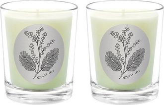 Qualitas Mimosa Tree Two Scented Beeswax Candle Set