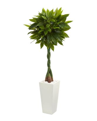 Nearly Natural 5.5Ft Money Artificial Tree In Tower Planter (Real Touch)