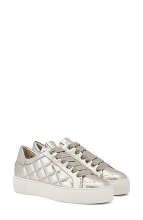 AGL Eva Leather Sneaker in Platinum Leather at Nordstrom Rack, Size 10Us / 40Eu