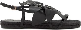 Castaner Mujer, Zapatos, Negro, Talla: 41 EU