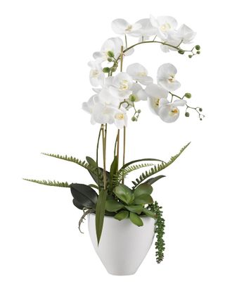 D&W Silks White Orchids In White Ceramic Bowl
