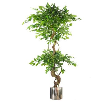 Leaf 150cm Twisted Trunk Artificial Japanese Fruticosa Ficus Tree Silver Planter in Green