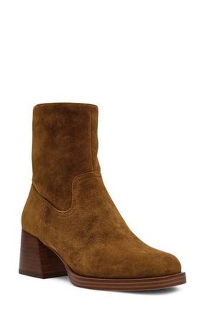 Steve Madden Latches Bootie in Chestnut Suede at Nordstrom Rack, Size 7.5