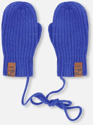 Deux par Deux Boy Rib Knit Mittens with Cord in Royal Blue at Nordstrom, Size 18-24 M