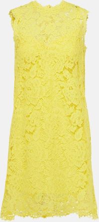 Dolce & Gabbana Cotton-blend lace minidress