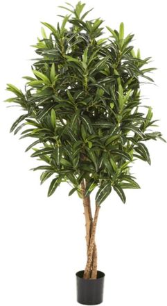 Baq Lebensechte Kunstpflanze Croton Goldfinger, ø 45/ Höhe 125 cm