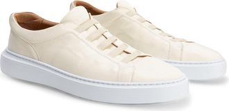 Robert Barakett Williams Stretch Lace Sneaker in Ivory at Nordstrom, Size 11.5