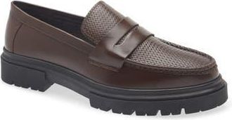 Steve Madden Zarco Penny Loafer in Brown at Nordstrom Rack, Size 10.5