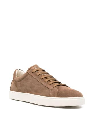 Tod's Brown Suede Logo Sneakers