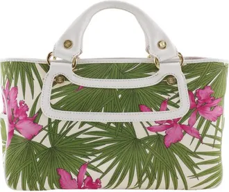 Celine Pre-owned Celine Canvas Botanical Print Boogie Handbag Ladies D8484CO5NP4JPLCL