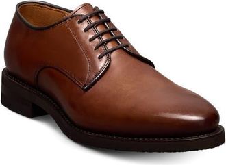 Allen Edmonds Ramsey Derby in Chili at Nordstrom, Size 10.5
