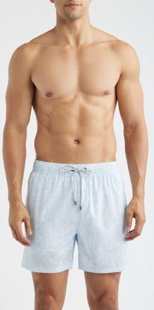 Vintage Summer Swimwear Print Stretch Volley Shorts in Aqua at Nordstrom, Size Xx-Large