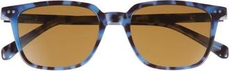 Eyebobs C Suite 50mm Polarized Square Sunglasses in Robins Egg Tortoise/Brown at Nordstrom