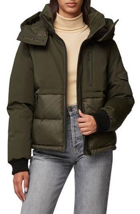 Soia & Kyo Cindi Water Repellent 700 Fill Power Down Jacket in Cedar at Nordstrom Rack, Size X-Large