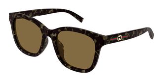 Gucci GG1984SK Asian Fit 003 Womens Sunglasses Tortoiseshell Size 55 - Free RX Lenses - Free RX Lenses