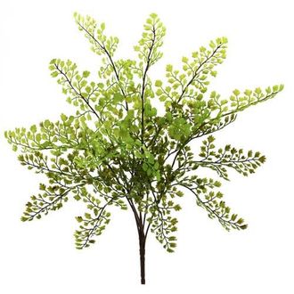 Nearly Natural 15-in Maiden Hair Artificial Plant in Green at Nordstrom