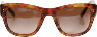Dolce & Gabbana DG4338F Brown Havana Full Rim Round Lenses Womens Sunglasses