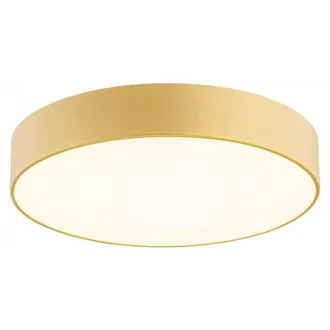 Netlighting Darling 35cm Flush Ceiling 2 Light Gold Structure