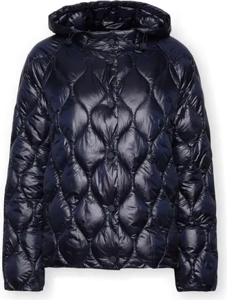 Elena Miro Jassen, Dames, Blauw, L, Nylon, Lichtgewicht Gewatteerde Nylon Donsjack