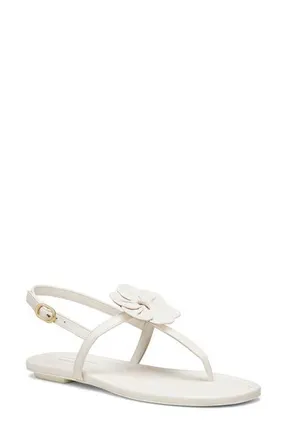 Stuart Weitzman x Sandy Liang T-Strap Slingback Sandal in Cream. at Nordstrom, Size 5.5