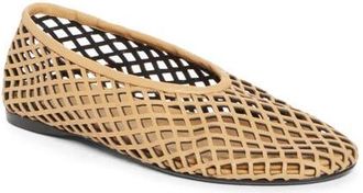 Proenza Schouler Tee Perforated Ballet Flat in Mud at Nordstrom, Size 10.5Us