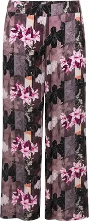 2-Biz Donna, Pantaloni, Viola, 2Xl, new