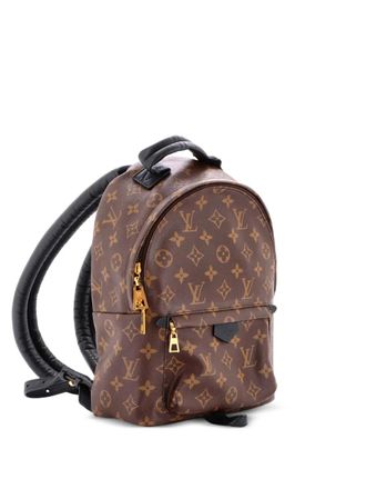 Louis Vuitton Palm Springs Monogram Canvas PM backpack - Brown