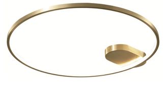 OEM Elyptica C - L&aacute;mpara De Techo, L&aacute;mpara De Techo Led Moderna