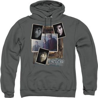 Gildan Harry Potter Trio Collage Adult Pull Over Hoodie / Hooded Sweatshirt