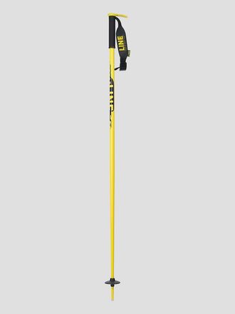 Line Pin 2024 Ski Stokken patroon