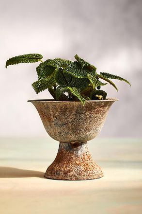 Terrain Fluted Iron Urn Planter