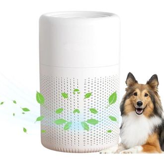 OEM Purificador De Aire Para El Hogar Y El Dormitorio: Purificador Compacto Con Modo Nocturno, Sistema De Triple Filtraci&oacute;n, Difusor De Aromas Integrado, 