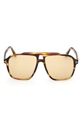 Tom Ford Autari 56mm Navigator Sunglasses in Havana/Other /Brown at Nordstrom Rack