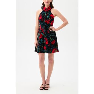 Trina Turk Safina Button Front Printed Velvet Dress in Multi at Nordstrom, Size 6