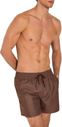 Reiss Oreint Swim Trunks in Dark Brown at Nordstrom, Size Xx-Large