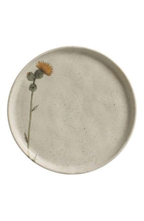 Porto Brasil Bread Plate Set of 6 in Campestre at Nordstrom