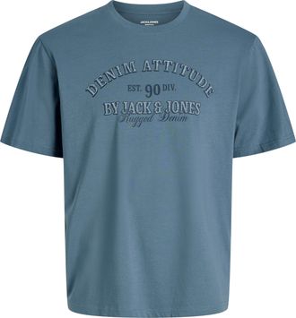 Jack & Jones Plus Size T-Shirt JJEDENVER GRAPHIC TEE SS O-NECK SN PLS, Herren, Gr. 4XL, blau mirage, Jersey, Obermaterial: 100% Baumwolle, JACK & JONES PLUSSIZE, bedruckt, u