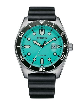 Citizen Mens Classic Watch