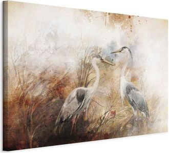 OEM Imagen - Garzas A La Caza (1 Parte) Ancha